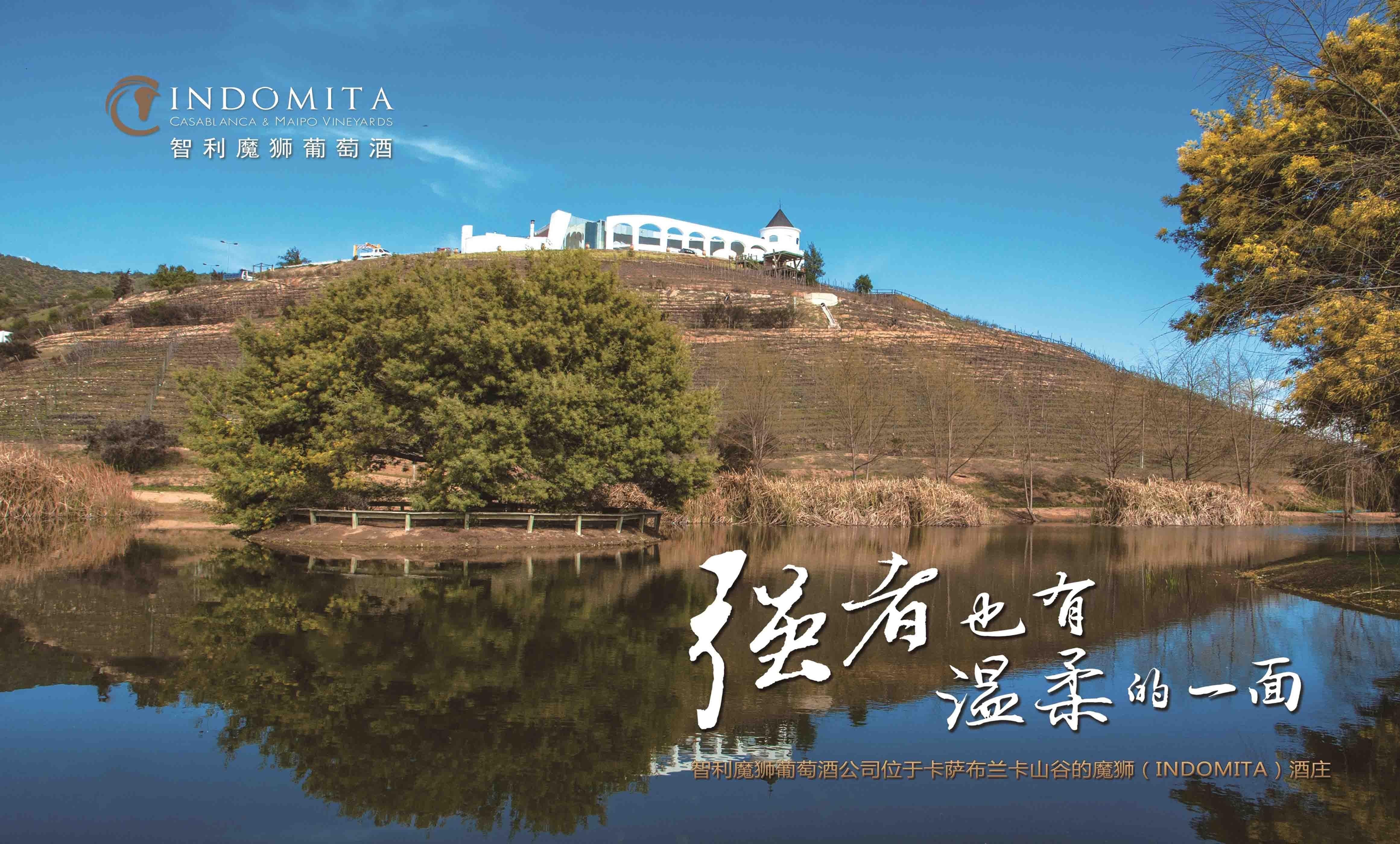 魔狮酒庄(Vina Indomita)(智利中央山谷)
